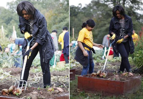 Michelle digs.jpg