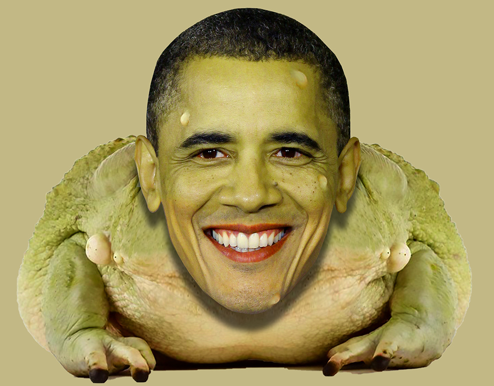 toadbama.jpg