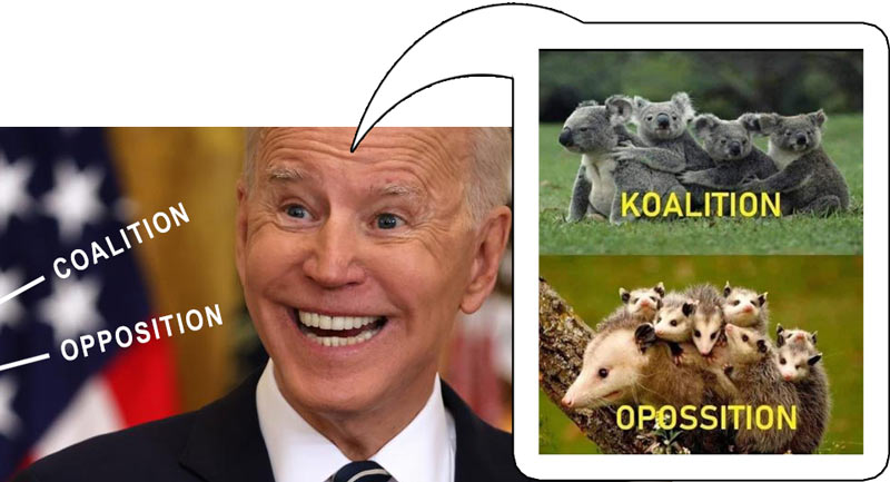 Biden_Koalition.jpg