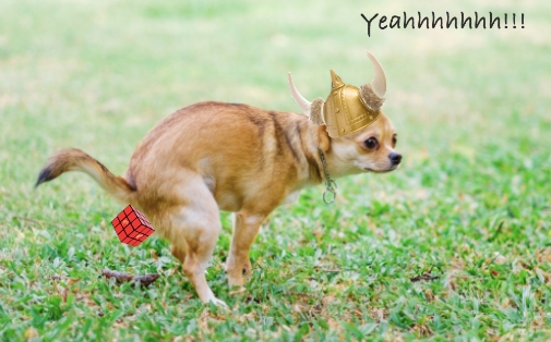 Screen Shot 2022-02-15 at 1.37.14 AM.jpg