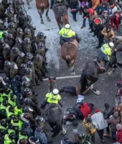 Screen Shot 2022-02-19 at 3.58.15 PM.jpg