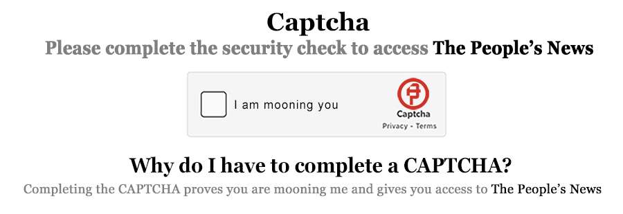 CapChal42.jpg