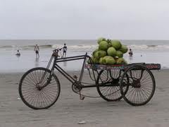 coconuts 2.jpg