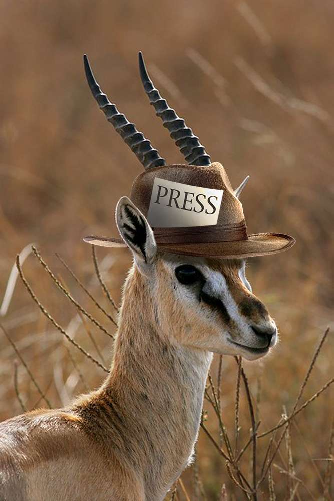 PEC.jpg