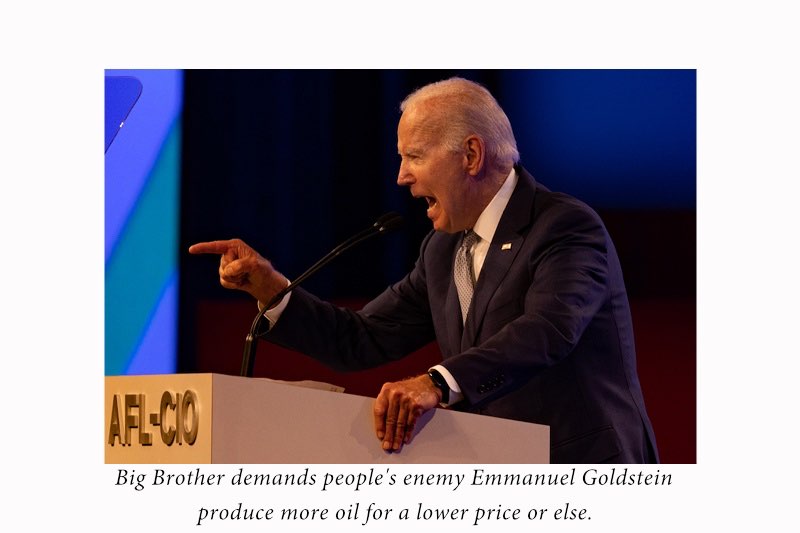 big brother biden 2.jpg