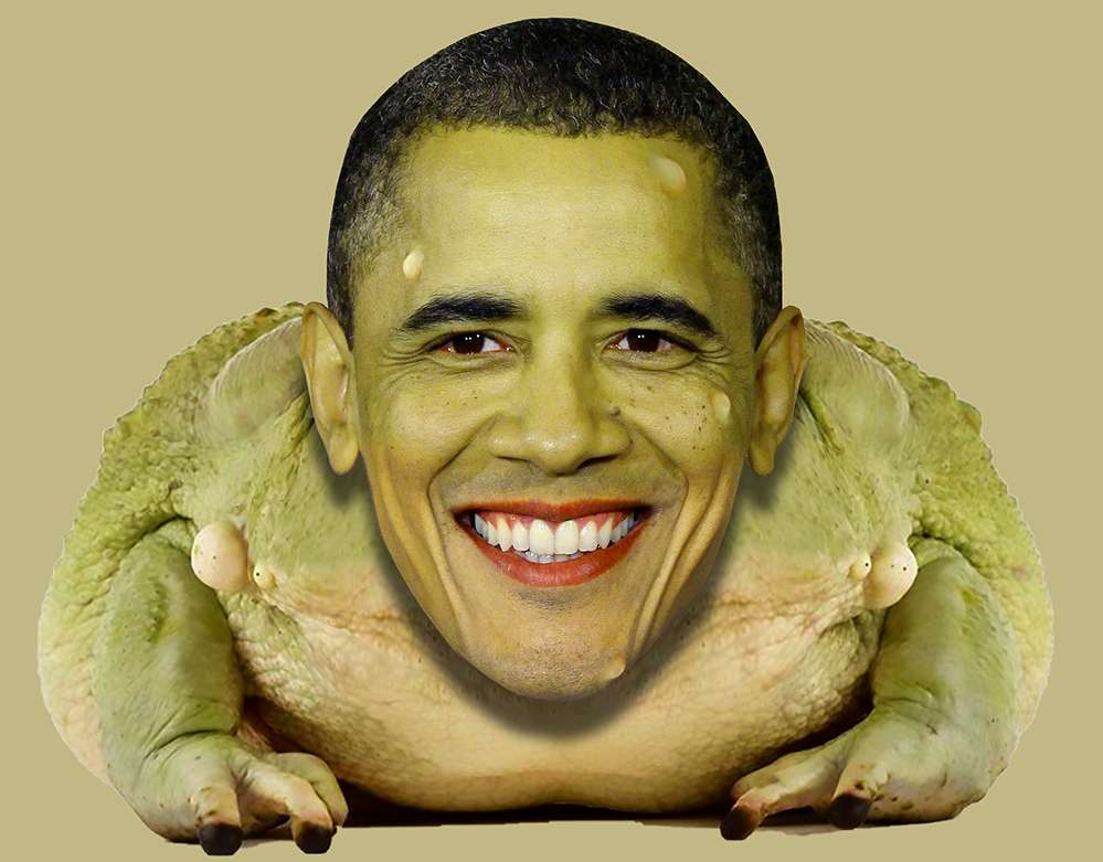 toadbama.jpg