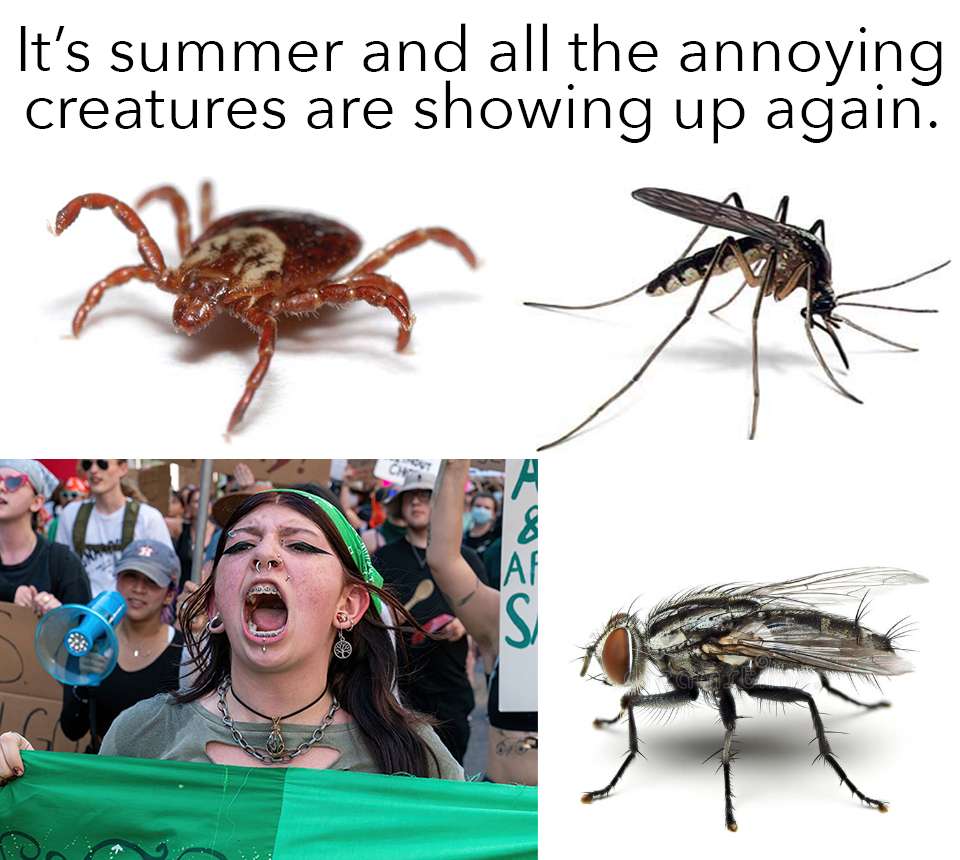 ANNOIDS.jpg