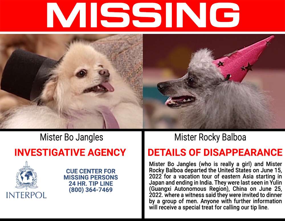 missing.jpg