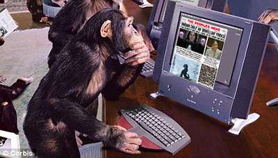 Chimpscreen.jpg