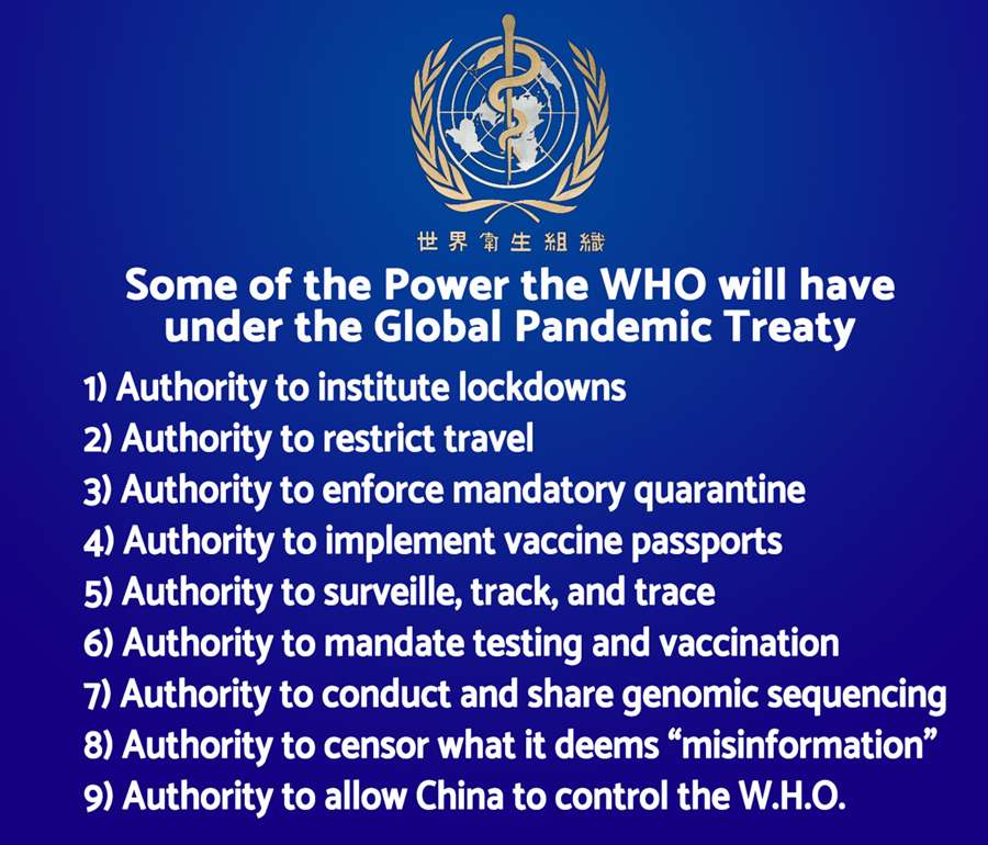 WHO Powers under GPT.jpg