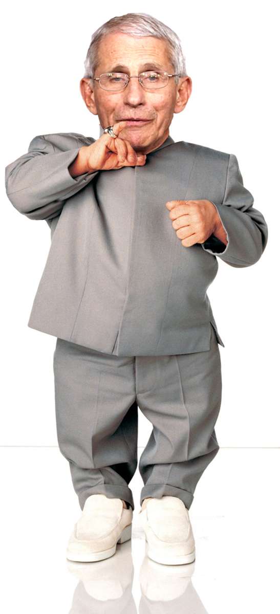 MiniFauc.jpg