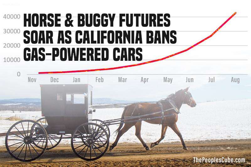 Horse_Buggy.jpg