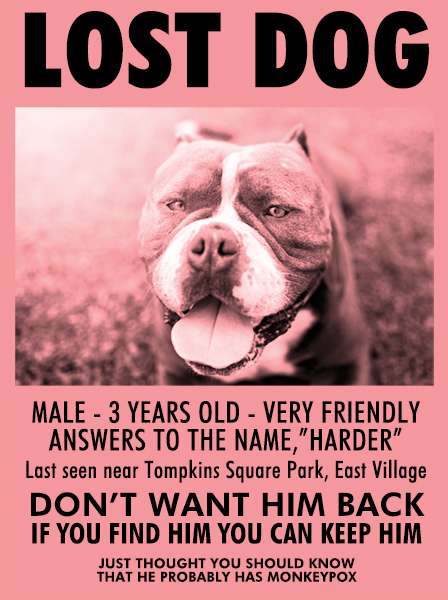 lostdog.jpg