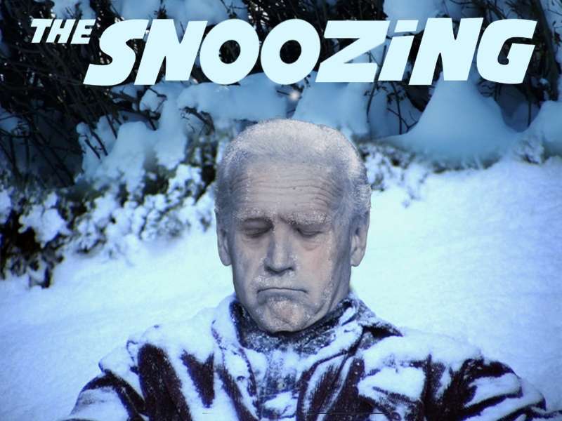 TheSnoozing.jpg