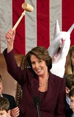 pelosi_gavel.jpg