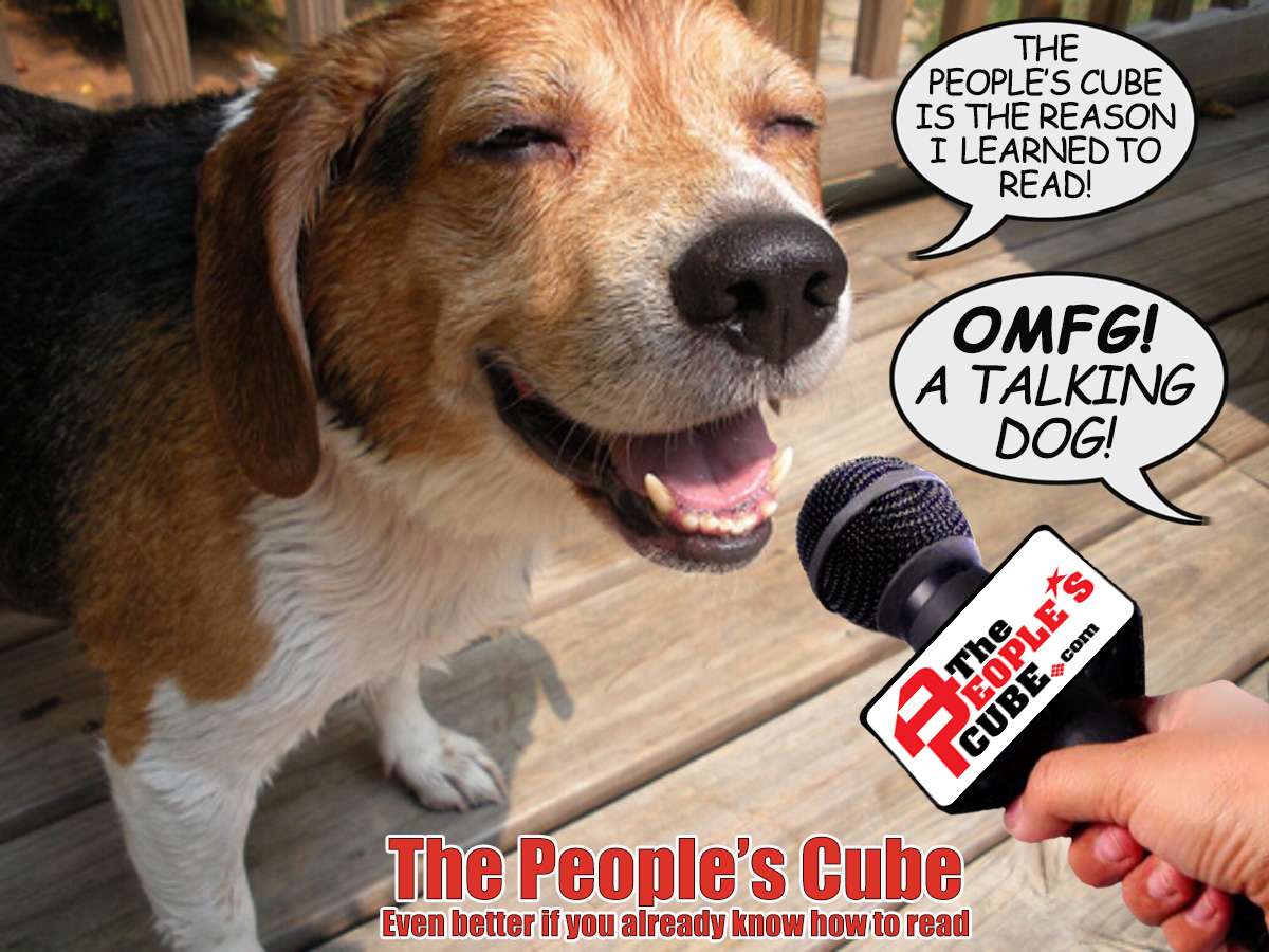 DogInterview.jpg