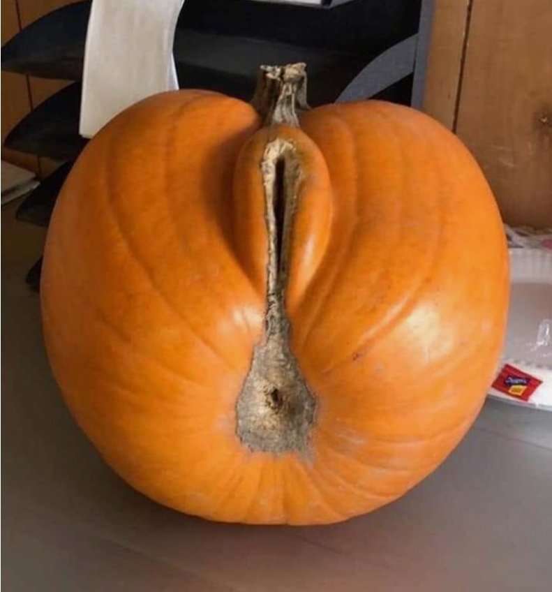 Pumpkin proxy.jpg