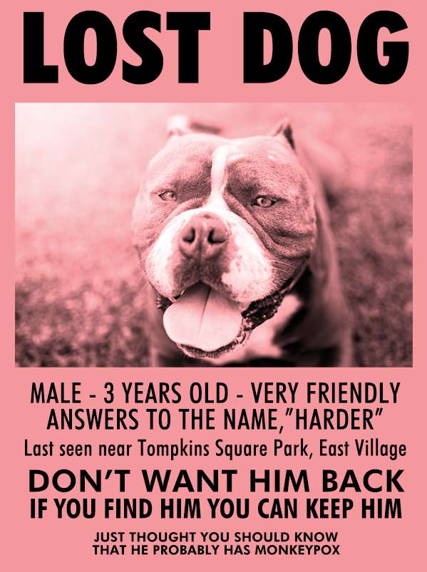 lostdog.jpg