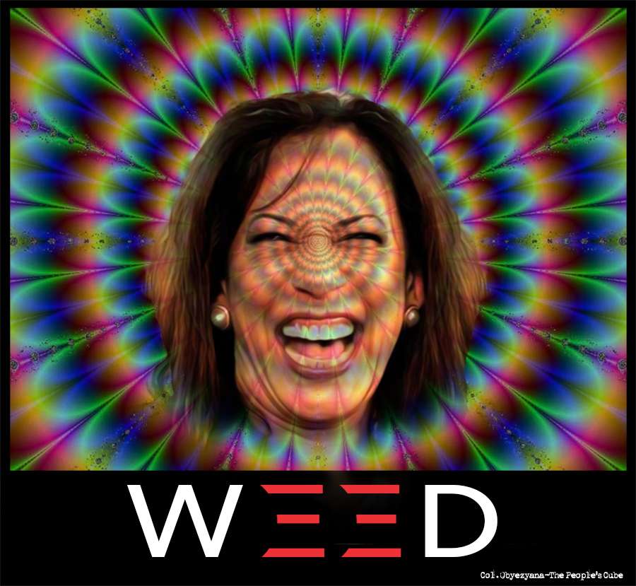 Kamalaweed.jpg