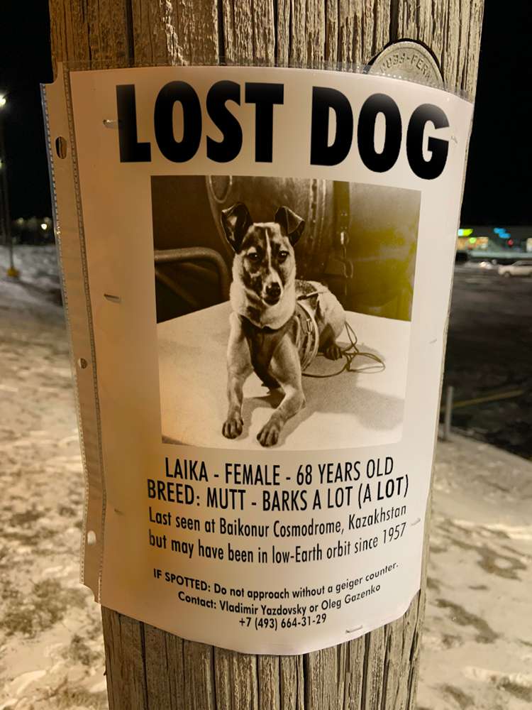 LOSTLAIKA.jpg