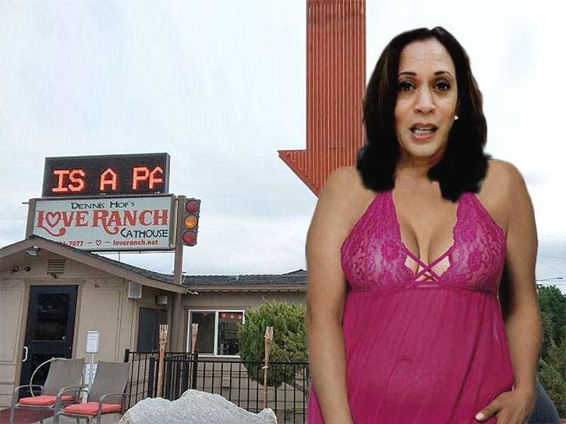 Kamala_Cathouse.jpg