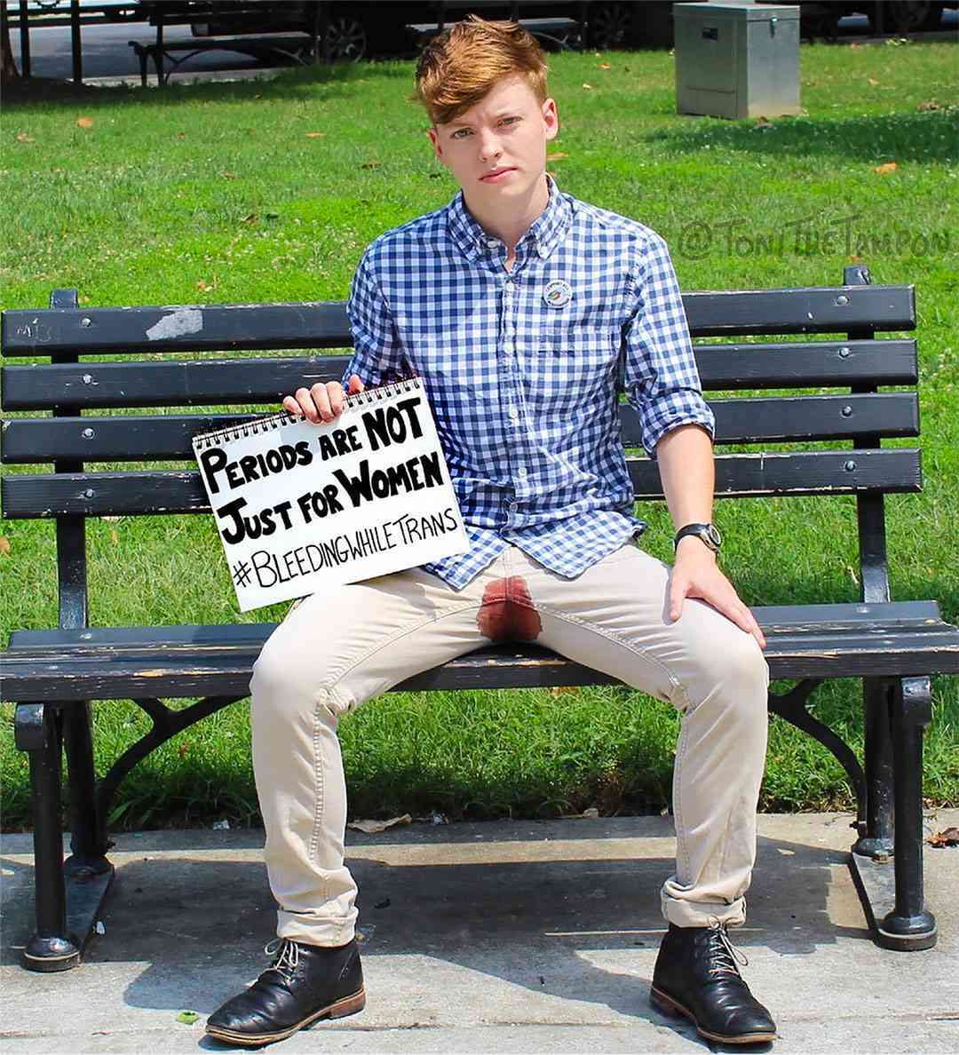 trans.jpg