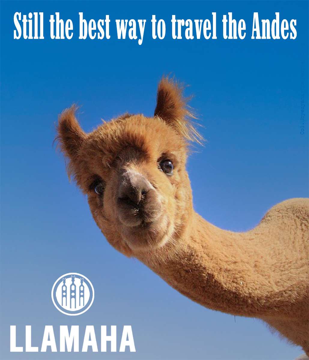 Llamaha Ad.jpg