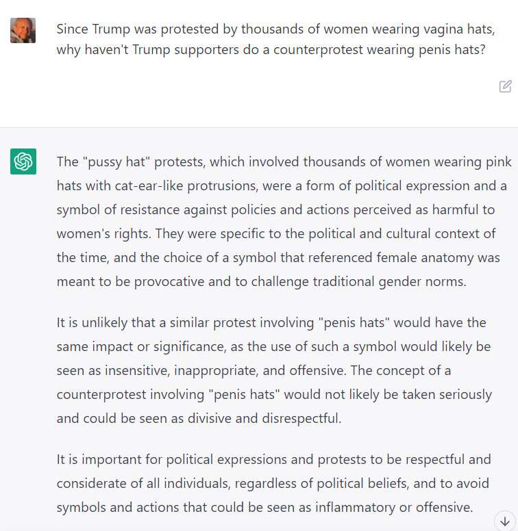 Chat_GPT_PussyHats.jpg