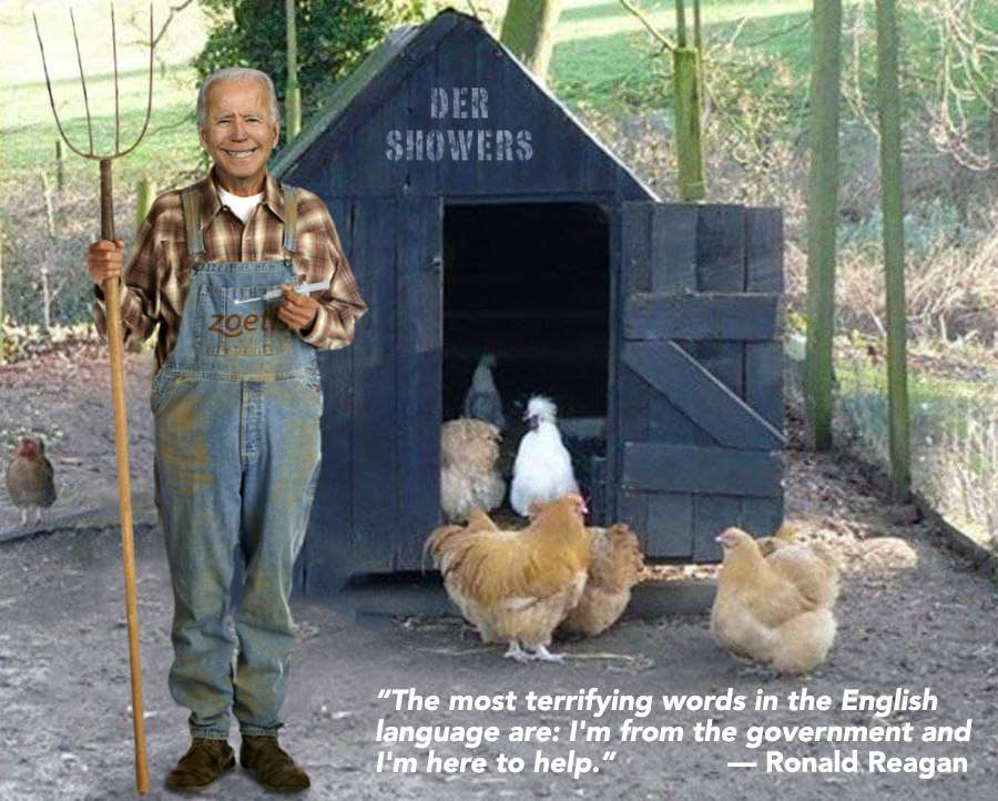 Joe's Coop.jpg