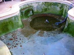 pool.jpg