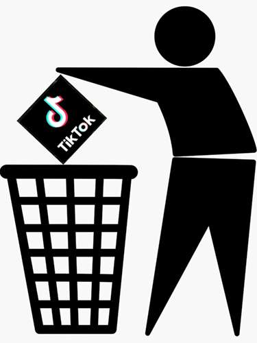 Toss TikTok.jpg