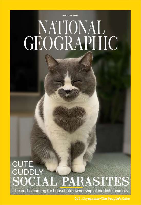 NATGEO 06.jpg