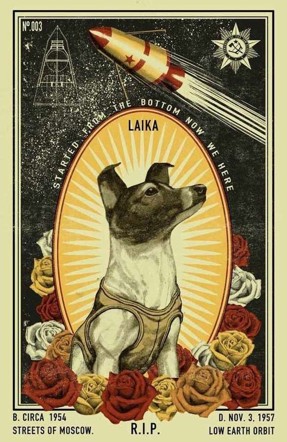 Laika by Ravi Zupa and Arna Miller.jpg