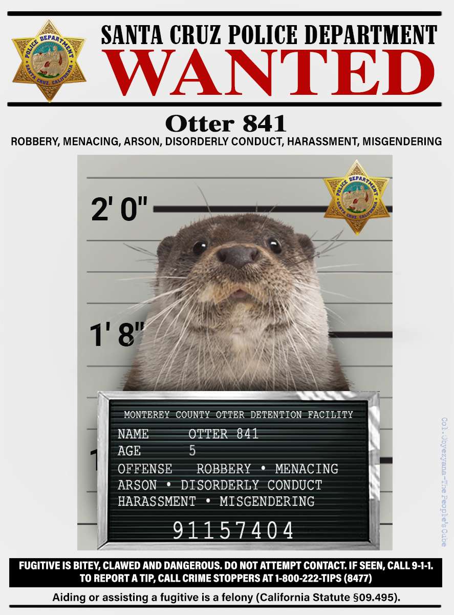OTTERWANTED1.jpg