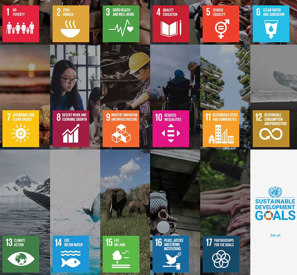 OSTENSIBLE GOALS.jpg