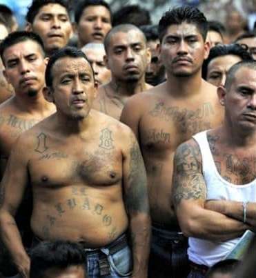 illegal police force.jpg