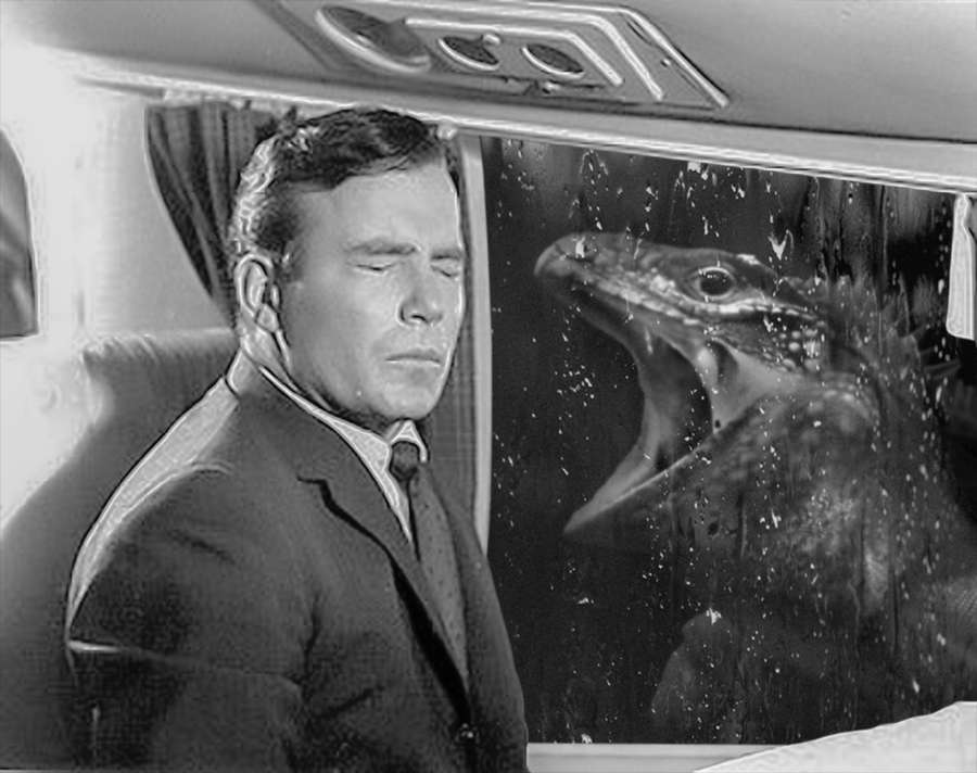 Iguana at 20000 feet.jpg