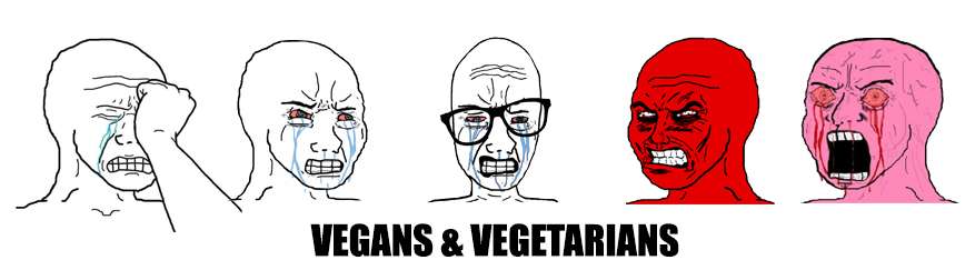 VNV.jpg