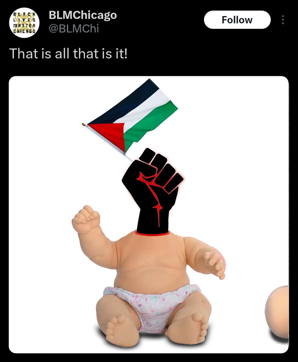 BLM STANDS WITH PALESTINE..jpg