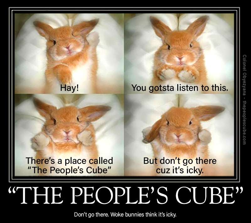 Bunnies think it's gross.jpg