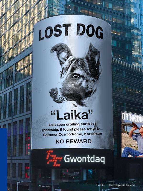 Times_Square_Laika.jpg