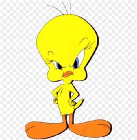 tweety.jpeg