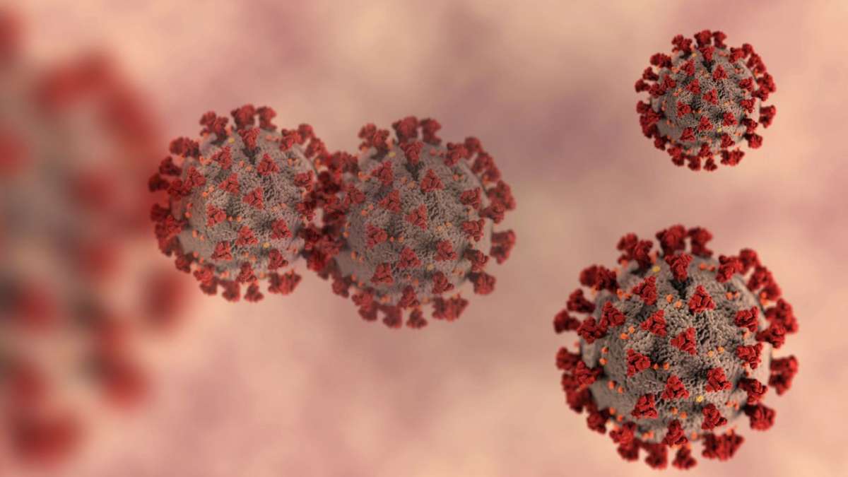 COVID 19 virus.jpg