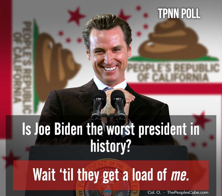 Newsom Poll 3-19-24.jpg