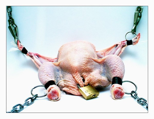 bondage chick.jpg