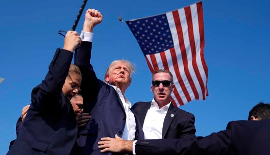 Screen Shot 2024-07-14 at 12.48.28 AM.jpg