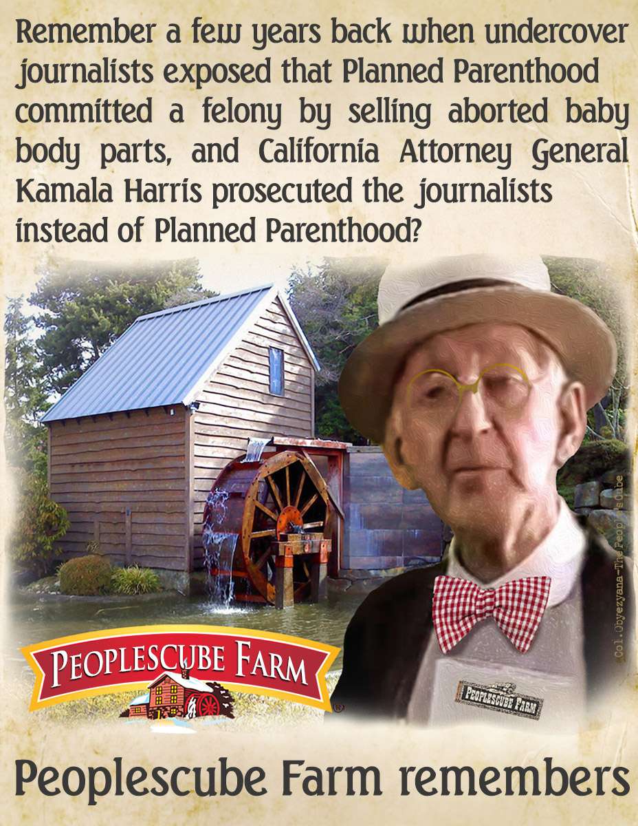 PeoplesCube Farm 2024-08-01.jpg