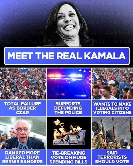 meet kamala.jpg