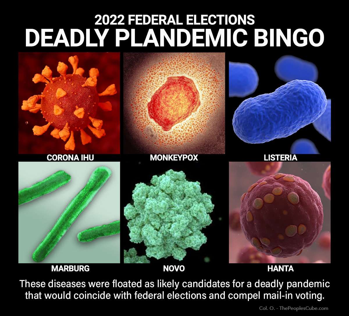 2022_deadly_plandemic_bingo.jpg