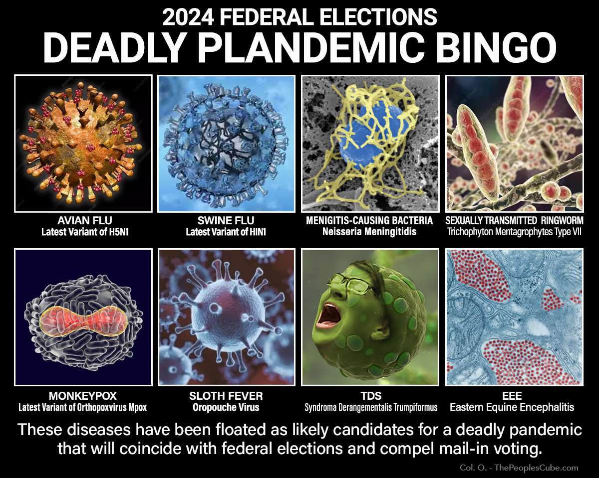 2024b_deadly_plandemic_bingo copy.jpg